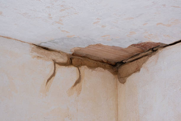 Best Professional water damage repair  in Costa Mesa, CA