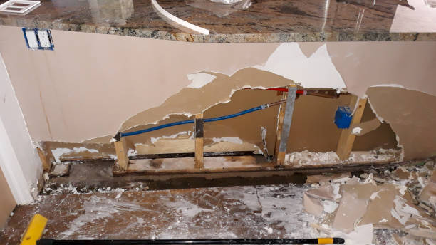 Best Flood damage cleanup  in Costa Mesa, CA